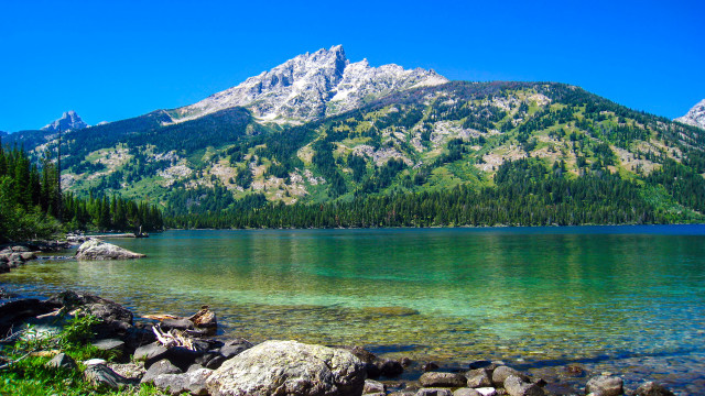 Mountain lake shore rocks forest free wallpaper for desktop - medium preview image