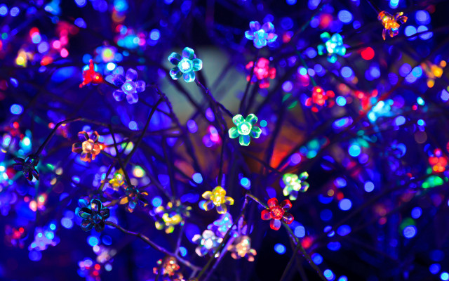 Glowing lights tree night macro free wallpaper for desktop - medium preview image