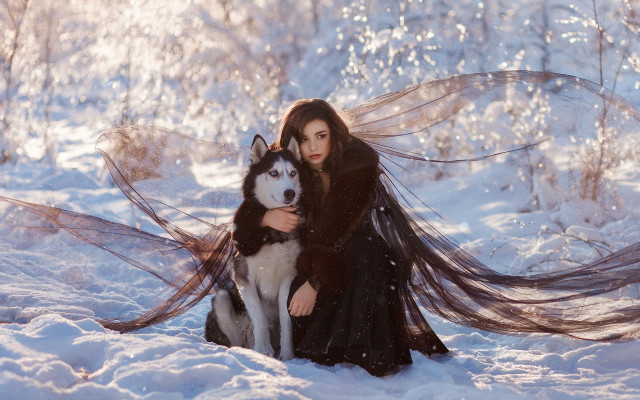 Woman black dress husky snow free wallpaper for desktop - medium preview image