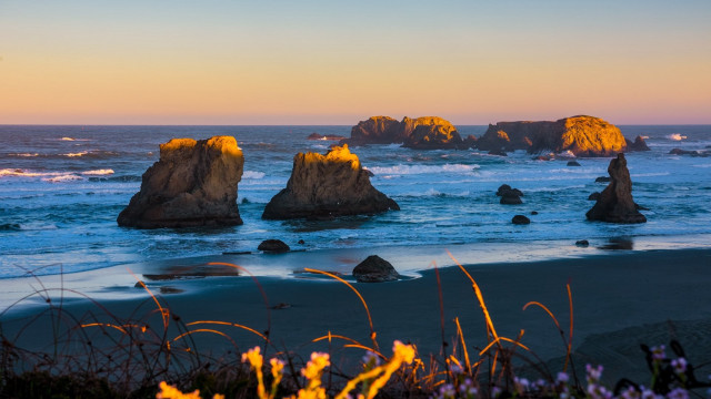 Beach rocks flowers sky ocean free wallpaper for desktop - medium preview image