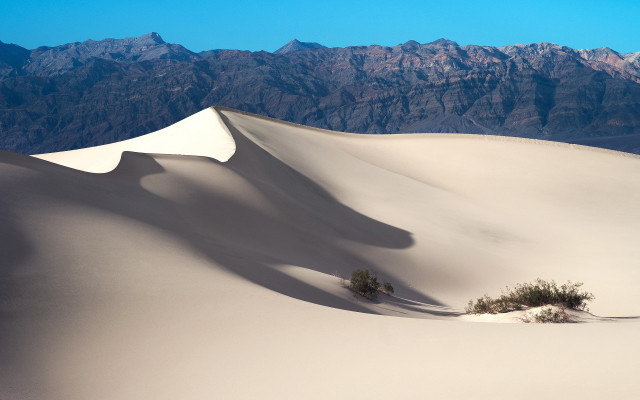 Lone tree desert mountains blue #2 free wallpaper for desktop - medium preview image