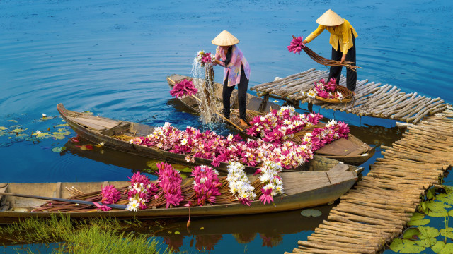 Hats boat flowers water ecological free wallpaper for desktop - medium preview image