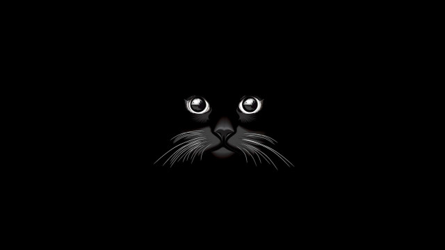 Black cat glowing eyes night #4 free wallpaper for desktop - medium preview image