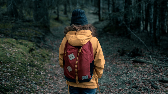 Person backpack woods trail liminal free wallpaper for desktop - medium preview image