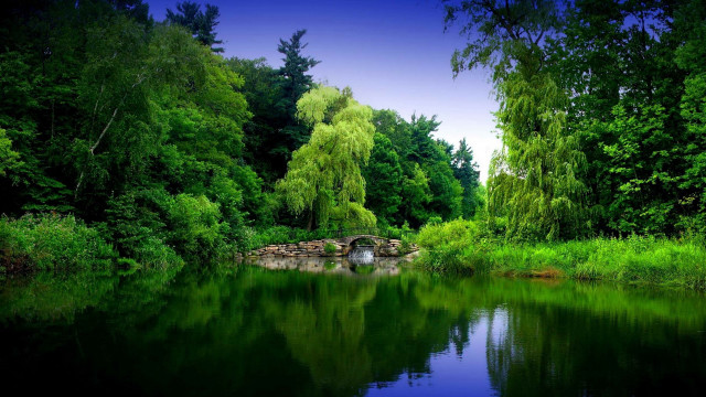 Pond bridge trees grass sky free wallpaper for desktop - medium preview image