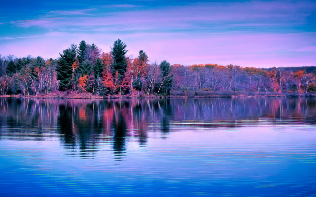 Lake forest purple sky city free wallpaper for desktop - medium preview image
