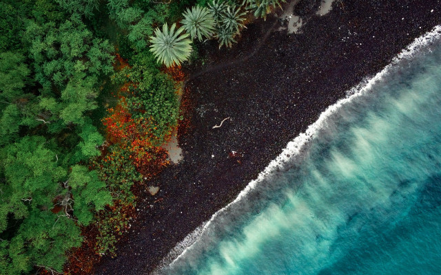 Black sand beach green trees free wallpaper for desktop - medium preview image
