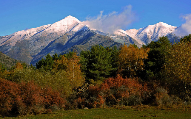Mountain range snow trees blue #3 free wallpaper for desktop - medium preview image