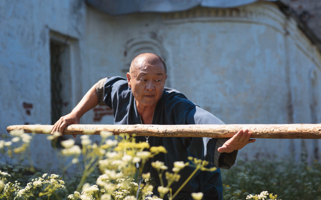 Old man flower field action free wallpaper for desktop - medium preview image