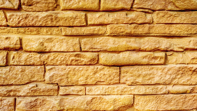 Yellow brick wall cat matte free wallpaper for desktop - medium preview image