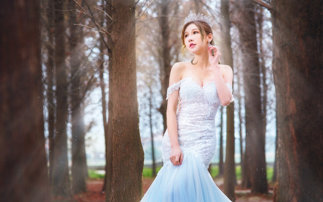 Woman blue dress tiaras forest free wallpaper for desktop - medium preview image