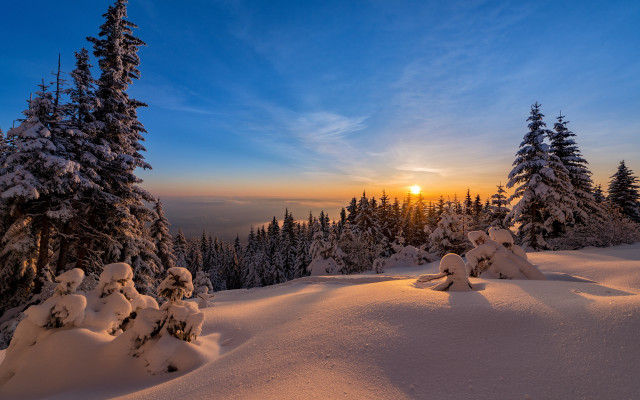 Sunset snowy mountain trees beach free wallpaper for desktop - medium preview image