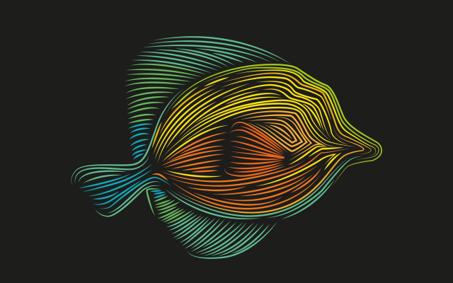 Colorful fish black background white free wallpaper for desktop - medium preview image