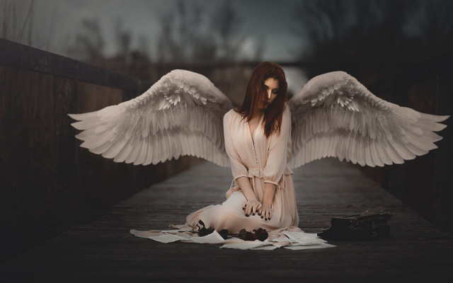 Angel wings sitting brown feathered free wallpaper for desktop - medium preview image