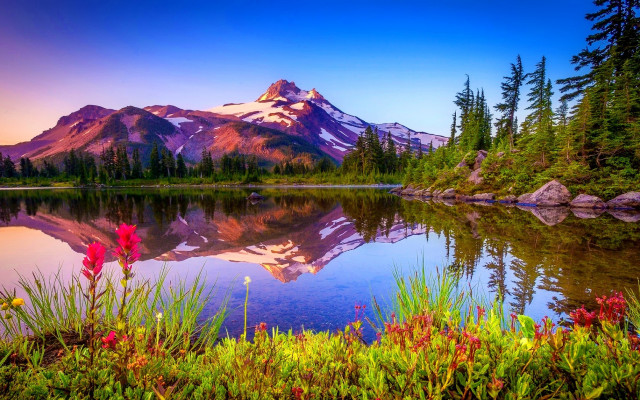 Mountain lake reflection flowers forest free wallpaper for desktop - medium preview image
