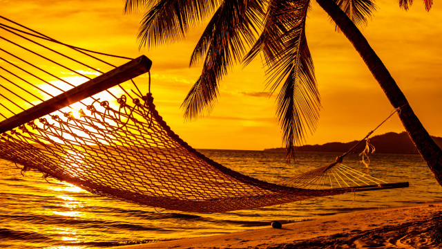 Hammock palm beach sunset dusk free wallpaper for desktop - medium preview image