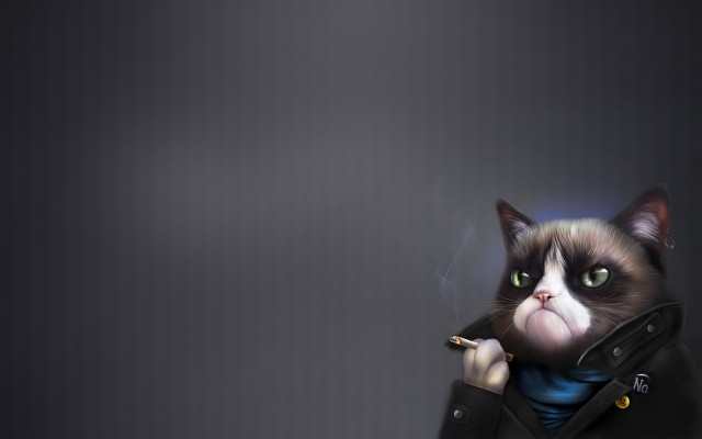 Cat jacket smoking yellow eyes free wallpaper for desktop - medium preview image