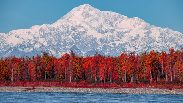 Mountain range forest red trees free wallpaper for desktop - medium preview image