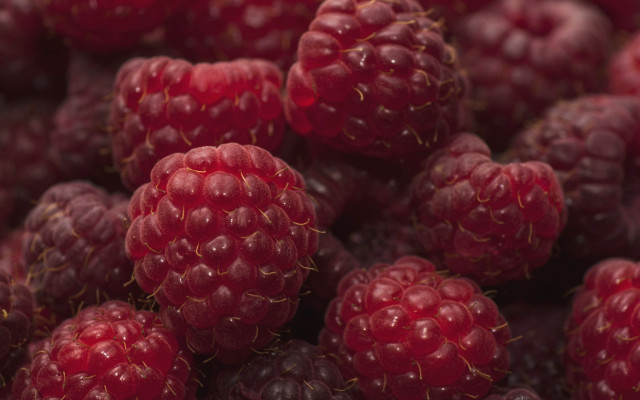 Raspberries closeup macro photorealism red #2 free wallpaper for desktop - medium preview image