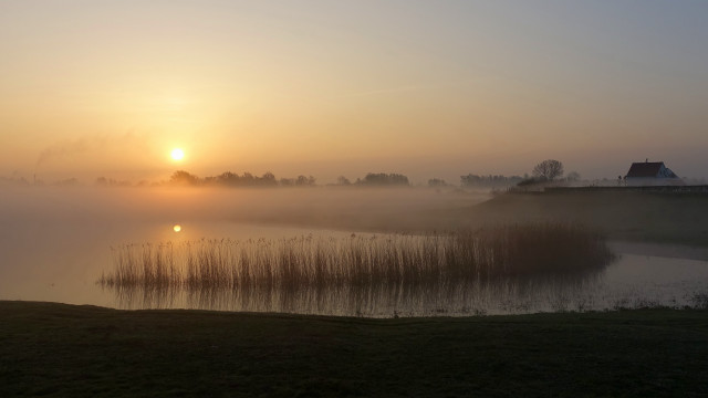 Foggy sunrise lake house trees free wallpaper for desktop - medium preview image