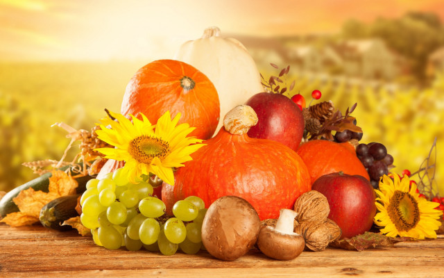 Harvest fall vibrancy sunflowers pumpkins free wallpaper for desktop - medium preview image