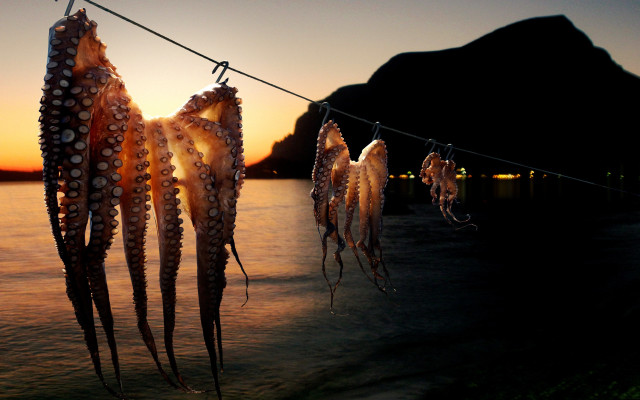 Octopus tentacles sunset mountain surrealist free wallpaper for desktop - medium preview image