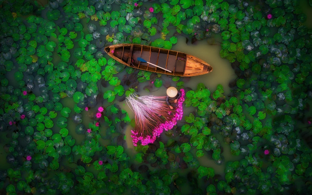 Lake forest flowers green field free wallpaper for desktop - medium preview image