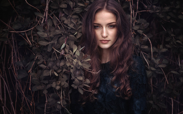 Woman bush leaves portrait flowers free wallpaper for desktop - medium preview image