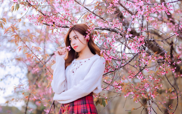 Woman plaid skirt under tree free wallpaper for desktop - medium preview image