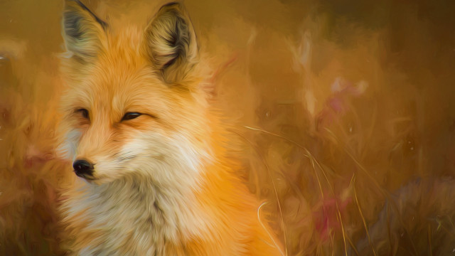 Fox impressionist generative art animal free wallpaper for desktop - medium preview image