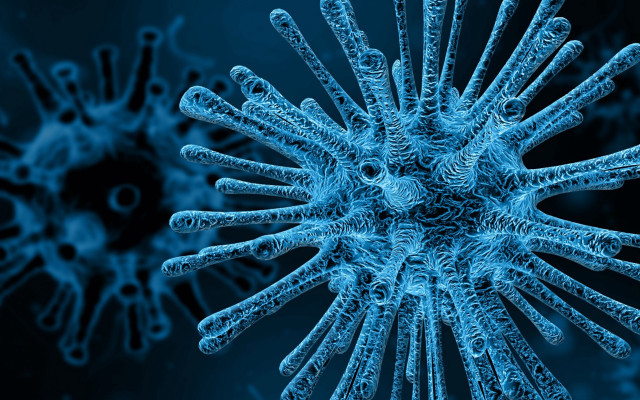 Blue background circular design microscopic free wallpaper for desktop - medium preview image