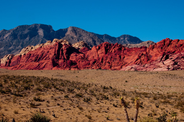 Mountain range desert cactus blue free wallpaper for desktop - medium preview image