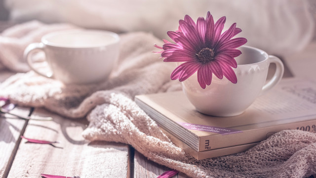 Pink flower white cup book free wallpaper for desktop - medium preview image
