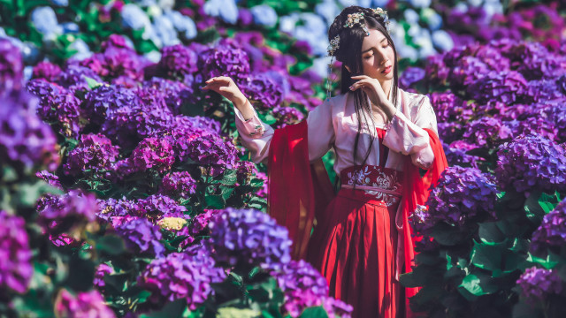 Red dress purple flower field free wallpaper for desktop - medium preview image