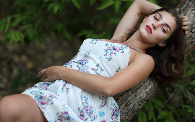 Woman laying tree branch dress free wallpaper for desktop - medium preview image