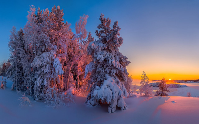 Sunset snowy trees blue sky free wallpaper for desktop - medium preview image