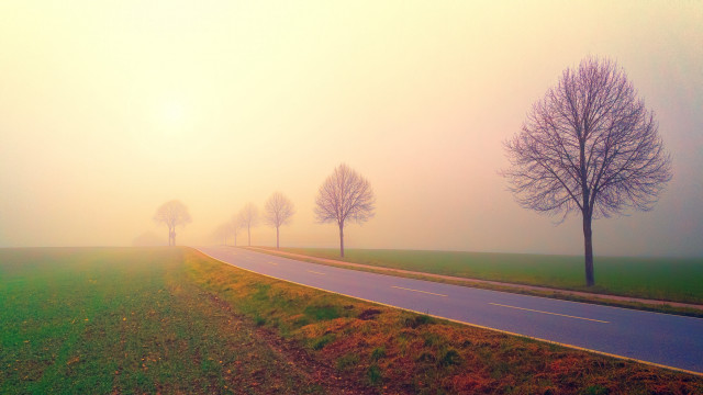 Foggy road trees beach sunset free wallpaper for desktop - medium preview image