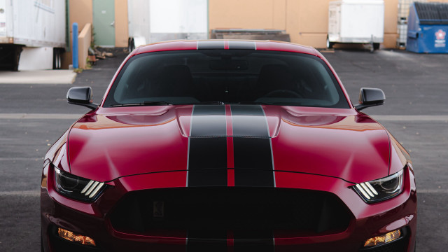 Red mustang black stripe front free wallpaper for desktop - medium preview image
