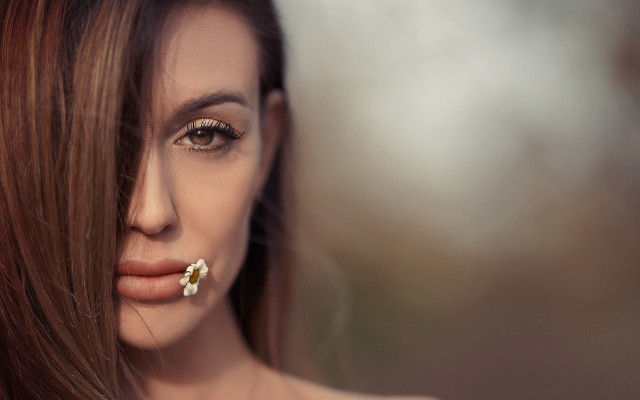 Woman nose ring flower portrait free wallpaper for desktop - medium preview image