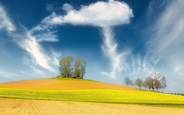 Field tree cloud sky mountain free wallpaper for desktop - medium preview image