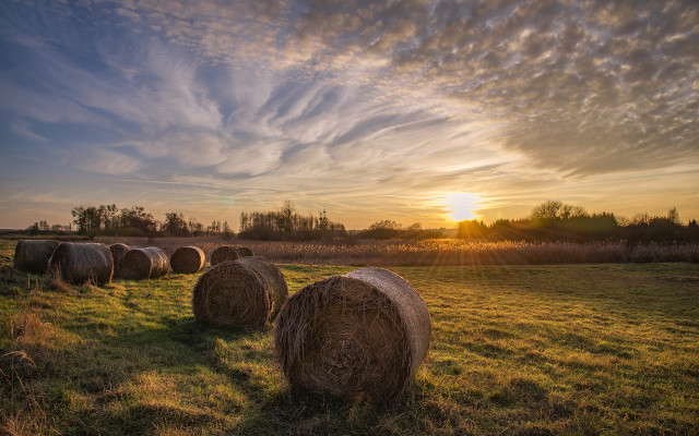 Hay bales sunset clouds cityscape free wallpaper for desktop - medium preview image