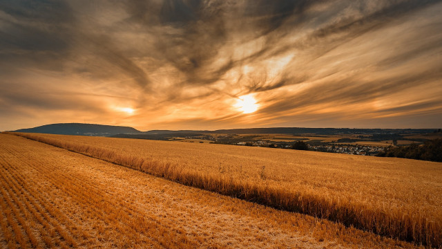 Sunset dirt road field cloudy free wallpaper for desktop - medium preview image