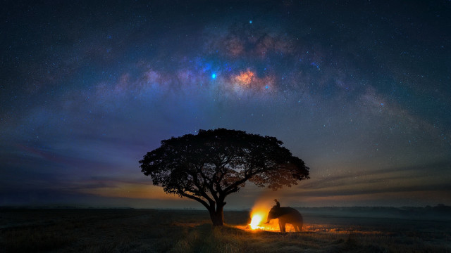 Night starry sky astronaut fire free wallpaper for desktop - medium preview image