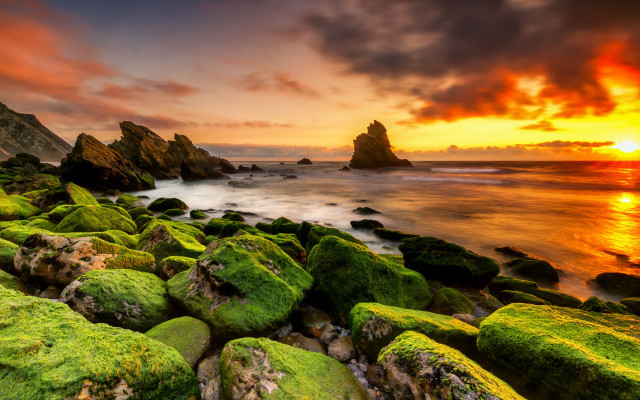 Sunset rocky beach moss water #4 free wallpaper for desktop - medium preview image