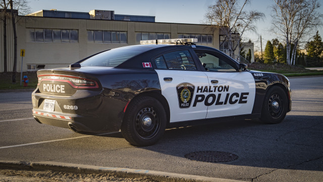 Police car parking lot bare free wallpaper for desktop - medium preview image