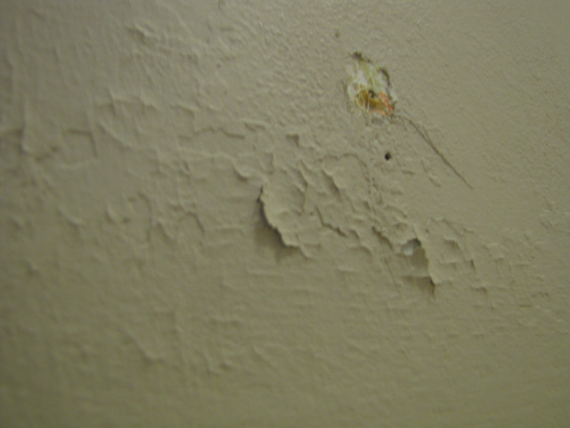 Peeling paint white wall brown free wallpaper for desktop - medium preview image