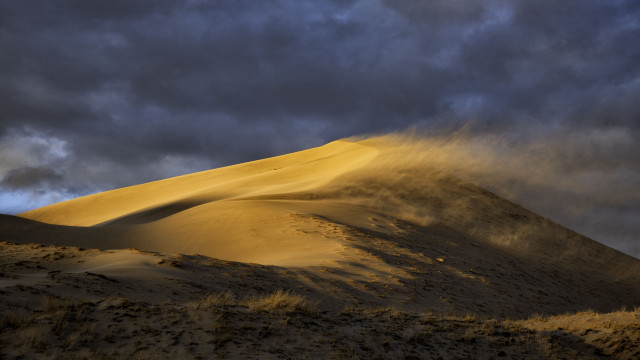 Sand dune cloudy sky bushes free wallpaper for desktop - medium preview image