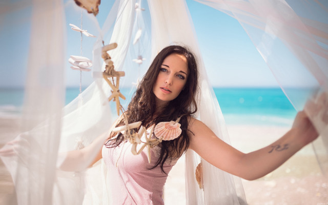 Pink dress beach shell starfish free wallpaper for desktop - medium preview image