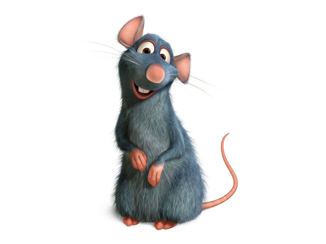 Cartoon rat smiling standing camera free wallpaper for desktop - medium preview image