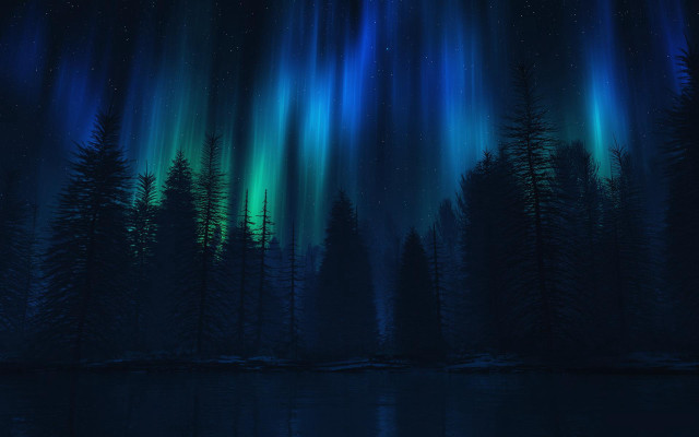 Aurora moon trees night sky free wallpaper for desktop - medium preview image